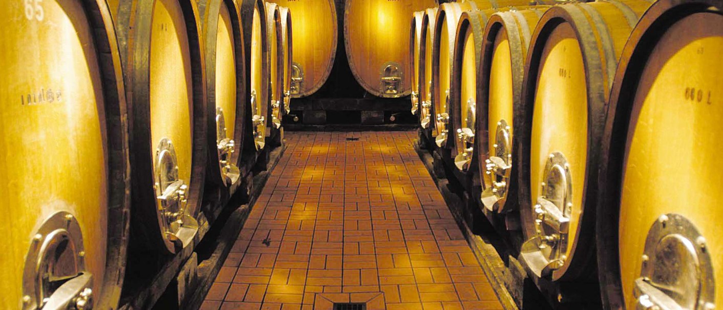 A wine cellar with large wooden barrels standing in two rows along a tiled corridor. The barrels are illuminated and housed in a vault., © Herzog von Württemberg