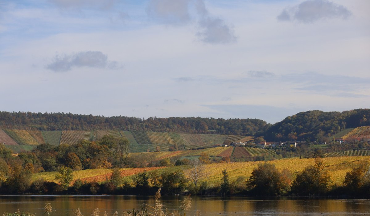 Herbstliche Landschaft mit einem See im Vordergrund, umgeben von bunten Weinbergen und bewaldeten Hügeln unter einem leicht bewölkten Himmel., © NPSFW