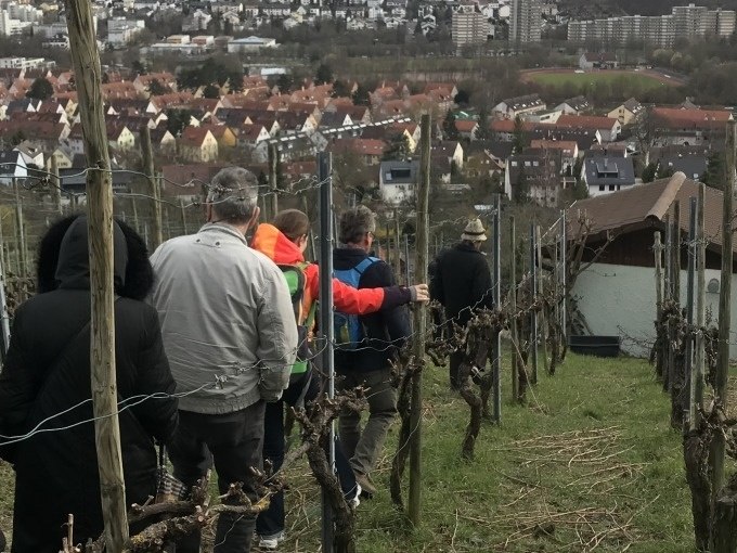 Menschen bei einer Führung durch Weinberge in Stuttgart-Feuerbach mit Blick auf die Stadt im Hintergrund., © Weingenuss Stuttgart Menschen bei einer Führung durch Weinberge in Stuttgart-Feuerbach mit Blick auf die Stadt im Hintergrund., © Weingenuss Stuttgart