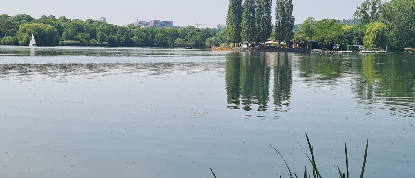 The Max-Eyth-See in Stuttgart with calm water, a sailing boat and trees on the shore. Buildings are visible in the background., © Stuttgart-Marketing GmbH, Sandra Nörpel