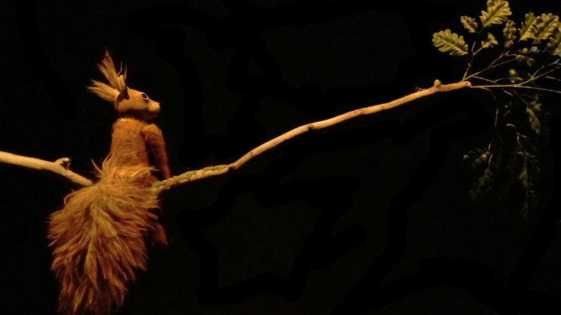 Ein Eichhörnchen sitzt auf einem Ast, der sich gegen einen dunklen Hintergrund abhebt. Es schaut in die Ferne., © FITZ Das Theater animierter Formen Ein Eichhörnchen sitzt auf einem Ast, der sich gegen einen dunklen Hintergrund abhebt. Es schaut in die Ferne., © FITZ Das Theater animierter Formen