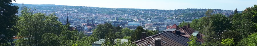 Panoramablick auf eine Stadt mit grünen Bäumen im Vordergrund und Hügeln im Hintergrund unter klarem Himmel., © SMG