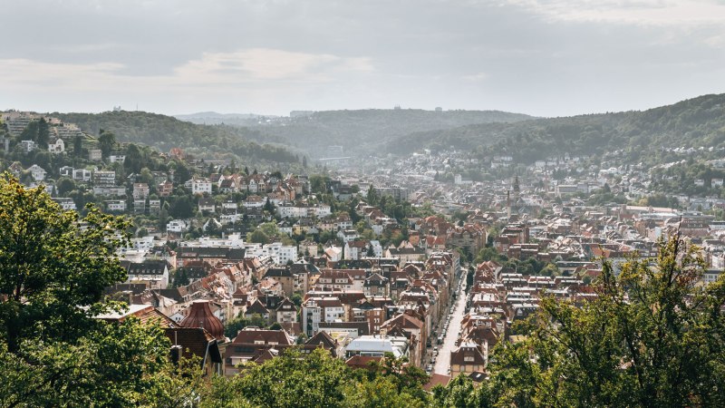 Blick von der Aussichtsplattform beim Teehaus im Weißenburgpark, © Sommertage.com/Romeo Felsenreich Blick von der Aussichtsplattform beim Teehaus im Weißenburgpark, © Sommertage.com/Romeo Felsenreich