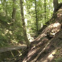 Tumescent blade, © Stuttgarter Straßenbahnen AG