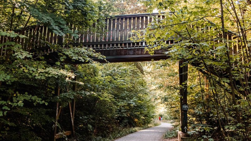 Woodpecker Traill, © SMG Stuttgart Marketing GmbH - Sarah Schmid Woodpecker Traill, © SMG Stuttgart Marketing GmbH - Sarah Schmid