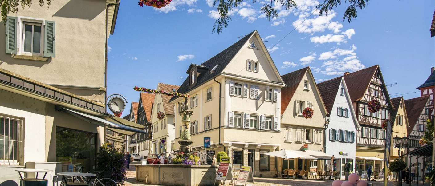 The old town of Bietigheim-Bissingen features picturesque half-timbered houses and a central fountain under a clear, blue sky., © SMG Stuttgart Marketing GmbH - Sarah Schmid The old town of Bietigheim-Bissingen features picturesque half-timbered houses and a central fountain under a clear, blue sky., © SMG Stuttgart Marketing GmbH - Sarah Schmid