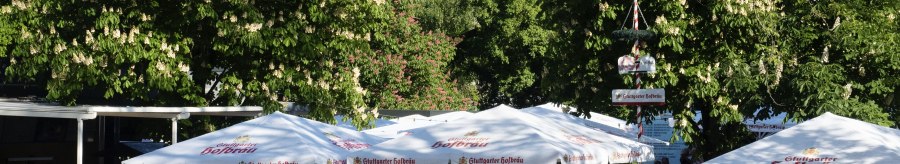 Beer garden in the palace gardens with lots of people under large parasols. A fountain in the foreground, surrounded by green trees and buildings in the background., &copy; Michele Scognamillo