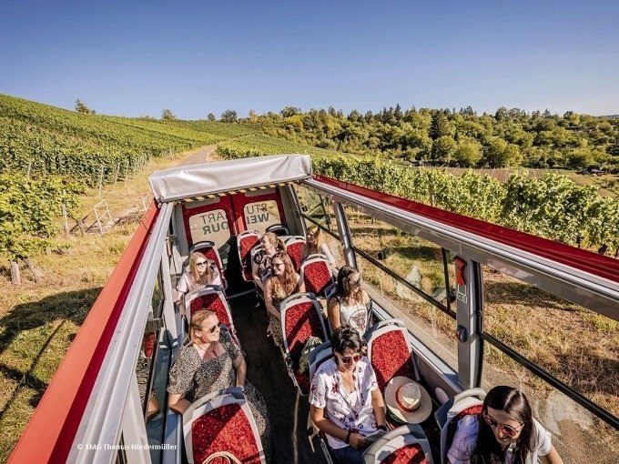 Touristen in einem offenen Bus genießen eine Weintour durch die Weinberge bei Stuttgart unter blauem Himmel., © SMG, Thomas Niedermüller Touristen in einem offenen Bus genießen eine Weintour durch die Weinberge bei Stuttgart unter blauem Himmel., © SMG, Thomas Niedermüller