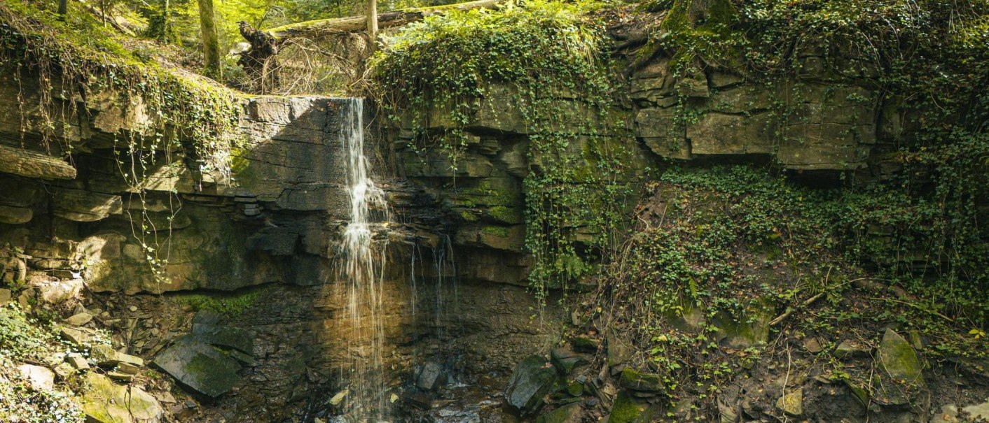 A small waterfall cascades down a moss-covered rock face in a forest, surrounded by lush greenery and climbing plants., &copy; SMG Stuttgart Marketing GmbH - Sarah Schmid