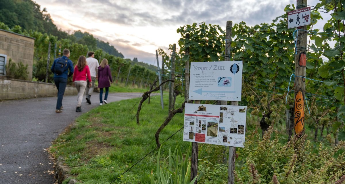Vier Personen wandern auf einem Weg durch Weinberge. Schilder markieren den Start/Ziel des Weinwanderwegs., © Stuttgart-Marketing GmbH, Martina Denker Vier Personen wandern auf einem Weg durch Weinberge. Schilder markieren den Start/Ziel des Weinwanderwegs., © Stuttgart-Marketing GmbH, Martina Denker