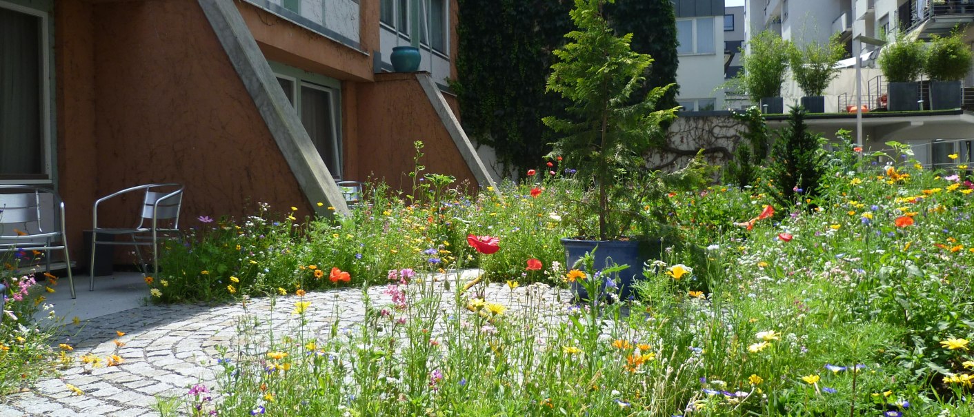 Ein blumenreicher Garten vor einem Gebäude mit Terrassen und Balkonen. Im Vordergrund bunte Blumen, im Hintergrund moderne Wohnhäuser., © Abalon Hotel Ideal Ein blumenreicher Garten vor einem Gebäude mit Terrassen und Balkonen. Im Vordergrund bunte Blumen, im Hintergrund moderne Wohnhäuser., © Abalon Hotel Ideal