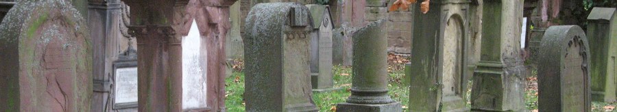 Old, weathered gravestones in the Hoppenlau cemetery, surrounded by autumn leaves and ivy on a wall., &copy; SMG