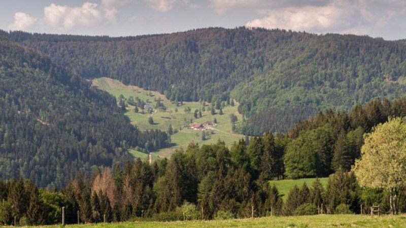 Panorama des Südschwarzwalds mit dichten Wäldern und grünen Wiesen. Ein paar Gebäude sind in der Ferne sichtbar., © Hofmann Panorama des Südschwarzwalds mit dichten Wäldern und grünen Wiesen. Ein paar Gebäude sind in der Ferne sichtbar., © Hofmann