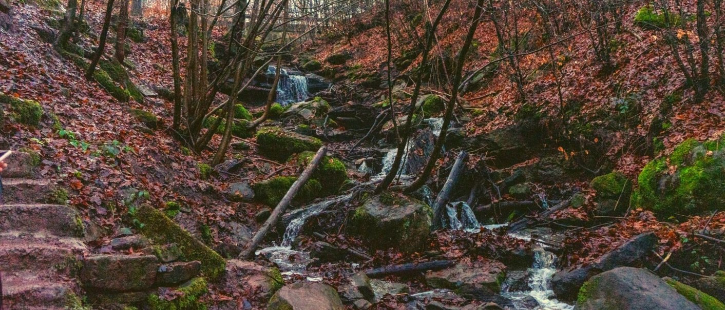 Ein kleiner Bach flie&szlig;t durch einen herbstlichen Wald. Die Umgebung ist mit Laub bedeckt, und Moos w&auml;chst auf den Steinen., &copy; SMG