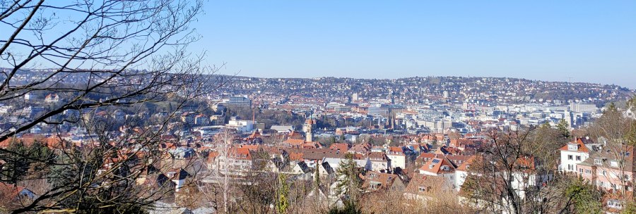 Stadtansicht mit roten Dächern unter klarem, blauem Himmel. Im Vordergrund Bäume und ein Holzzaun., © SMG