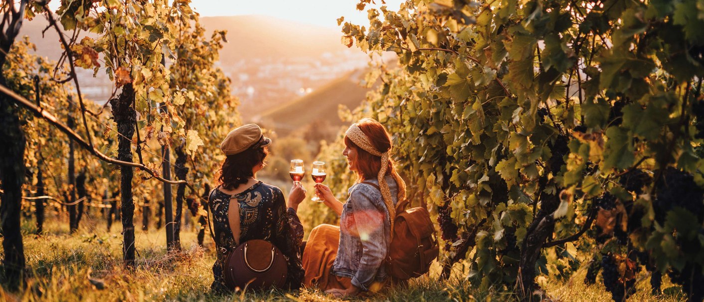 Vineyard row, &copy; Stuttgart-Marketing GmbH, sonne-wolken.de/globusliebe.com