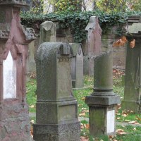 Alte, verwitterte Grabsteine auf dem Hoppenlau-Friedhof, umgeben von herbstlichem Laub und Efeu an einer Mauer., © SMG Alte, verwitterte Grabsteine auf dem Hoppenlau-Friedhof, umgeben von herbstlichem Laub und Efeu an einer Mauer., © SMG