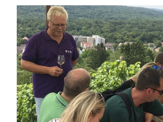 Ein Mann in lila Hemd hält ein Weinglas und spricht mit einer Gruppe von Menschen in einem Weinberg. Im Hintergrund sind Bäume und Gebäude zu sehen., © Weingenuss Stuttgart Ein Mann in lila Hemd hält ein Weinglas und spricht mit einer Gruppe von Menschen in einem Weinberg. Im Hintergrund sind Bäume und Gebäude zu sehen., © Weingenuss Stuttgart