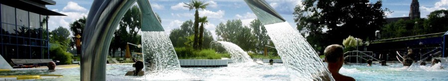 An outdoor pool with water fountains and palm trees, surrounded by trees and a building. People enjoy the water under a blue sky., &copy; Stuttgarter B&auml;der