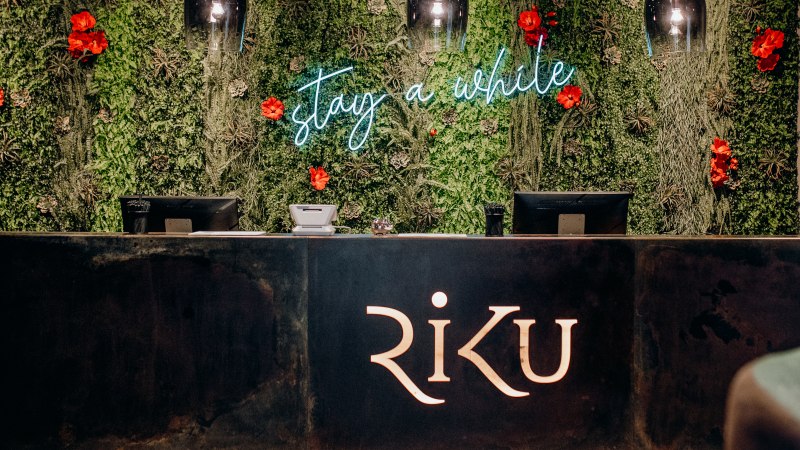 Rezeption mit gr&uuml;nem Pflanzenhintergrund, roten Blumen und Leuchtschrift 'stay a while'. Der Tresen tr&auml;gt das Logo 'RiKU'., &copy; 13 6 Design GmbH (Judenhof 10, 89073 Ulm)