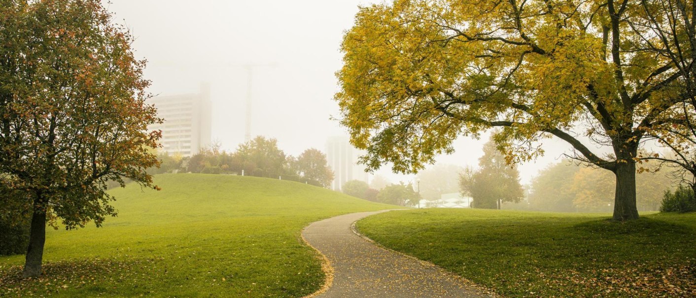 A foggy city park with a winding path, surrounded by autumn trees. A high-rise building can be seen in the background., © SMG Stuttgart Marketing GmbH - Sarah Schmid A foggy city park with a winding path, surrounded by autumn trees. A high-rise building can be seen in the background., © SMG Stuttgart Marketing GmbH - Sarah Schmid