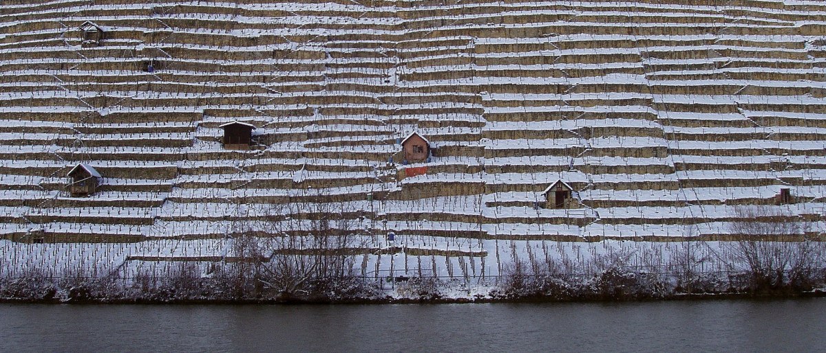 Weinberge im Winter, © Stuttgart-Marketing GmbH Weinberge im Winter, © Stuttgart-Marketing GmbH