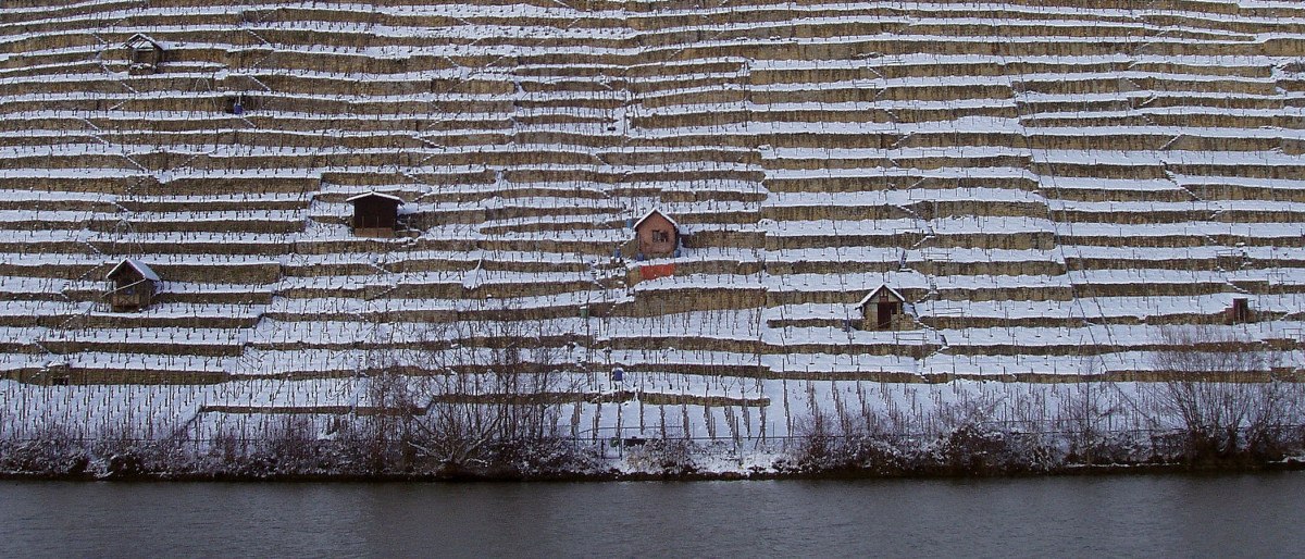 Weinberge im Winter, © Stuttgart-Marketing GmbH