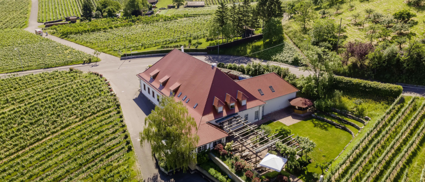 Luftaufnahme eines Gebäudes mit rotem Dach, umgeben von Weinbergen und grüner Landschaft. Ein Garten mit Pergola und Sonnenschirm ist sichtbar., © Collegium Wirtemberg
