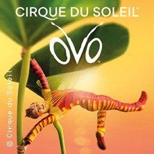 Cirque du Soleil - OVO, © links im Bild Cirque du Soleil - OVO, © links im Bild