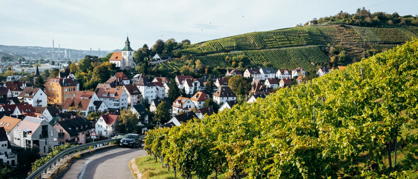 Vineyards stretch over a hill, in the foreground a road with a car. In the background a village with a church and houses., © Weingut Zaiß Vineyards stretch over a hill, in the foreground a road with a car. In the background a village with a church and houses., © Weingut Zaiß