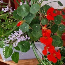 Herbs cooking course, &copy; links im Bild