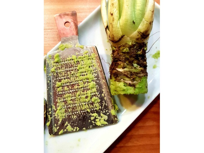 Reibe mit geriebenem Wasabi und Wasabiwurzel auf einem Teller, Nahaufnahme., © Kultweine-Kochwelten-Kunstücke - Kochschule Sonja Lenz Reibe mit geriebenem Wasabi und Wasabiwurzel auf einem Teller, Nahaufnahme., © Kultweine-Kochwelten-Kunstücke - Kochschule Sonja Lenz