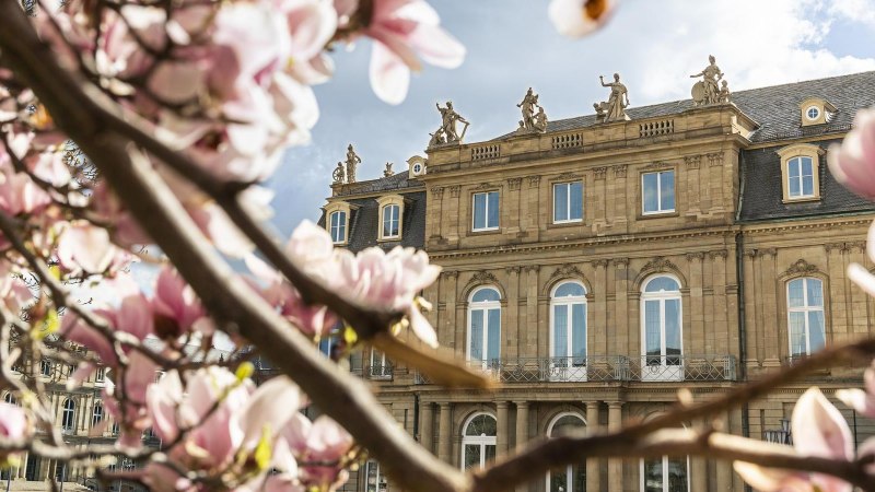 Magnolias at the New Palace, © Stuttgart Marketing GmbH, Sarah Schmid