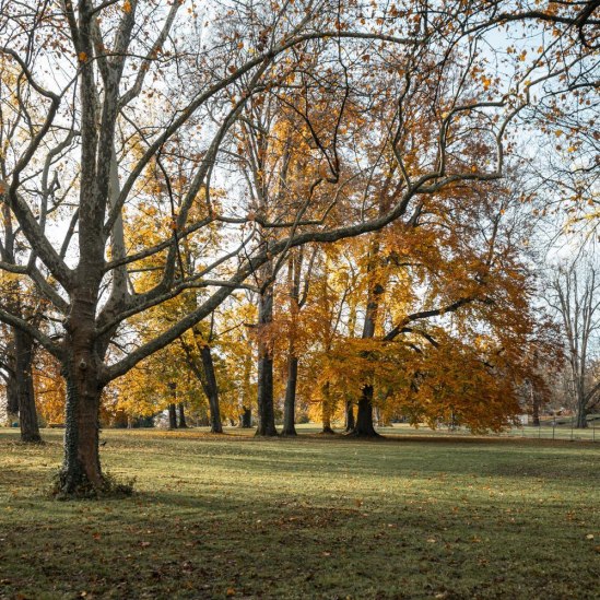 Villa Berg Park, © SMG, Sarah Schmid