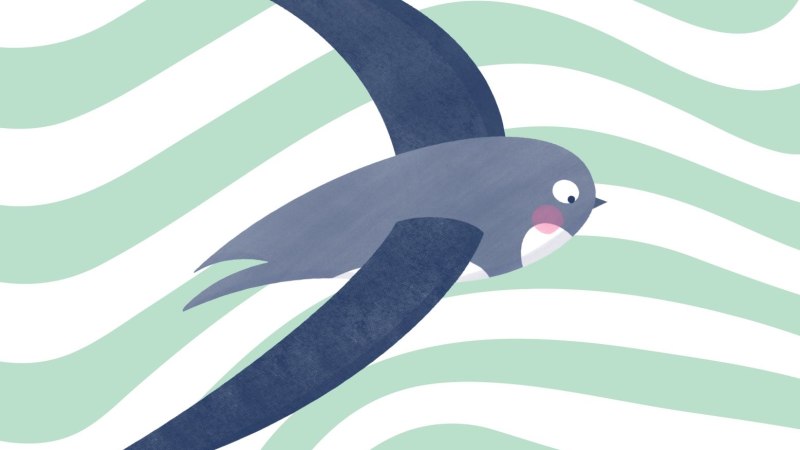 Illustration eines Vogels mit langen Flügeln und rosa Wangen, fliegend vor einem mintgrünen, wellenförmigen Hintergrund., © Promina Shrestha