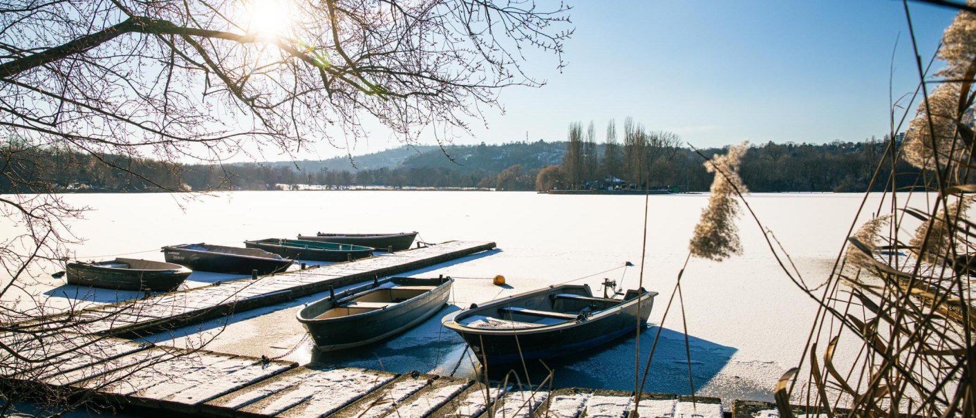 Snow-covered boats are moored at a jetty on Lake Max-Eyth. The sun shines through the bare branches while the lake is frozen., © Stuttgart-Marketing GmbH, Sarah Schmid Snow-covered boats are moored at a jetty on Lake Max-Eyth. The sun shines through the bare branches while the lake is frozen., © Stuttgart-Marketing GmbH, Sarah Schmid