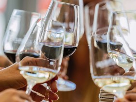 Mehrere Hände halten Weingläser und stoßen an. Die Gläser enthalten Rot- und Weißwein. Fröhliche Atmosphäre bei einer Weintour., © SMG, Thomas Niedermüller Mehrere Hände halten Weingläser und stoßen an. Die Gläser enthalten Rot- und Weißwein. Fröhliche Atmosphäre bei einer Weintour., © SMG, Thomas Niedermüller