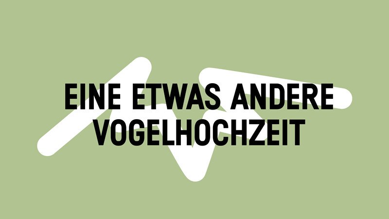 Eine etwas andere Vogelhochzeit, © Württembergische Staatstheater Stuttgart