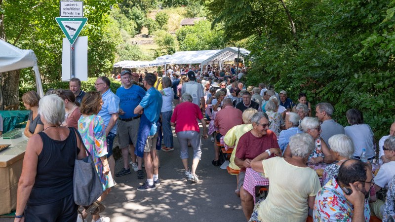 People sit and stand at an outdoor festival. Tables and tents are set up, surrounded by trees. A sign indicates agricultural traffic., &copy; Frank Nonnenmann