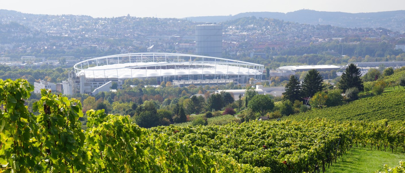 Vineyards in the foreground, behind them a large stadium and the city of Stuttgart. Hills and buildings can be seen in the background., © BURKHARDT HELLWIG Vineyards in the foreground, behind them a large stadium and the city of Stuttgart. Hills and buildings can be seen in the background., © BURKHARDT HELLWIG