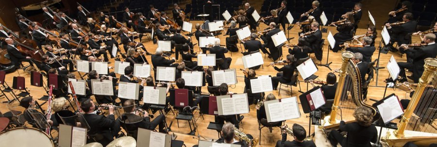 An orchestra plays on a stage, musicians with various instruments, including strings and wind instruments, conducted by a person in the middle., &copy; Sebastian Klein