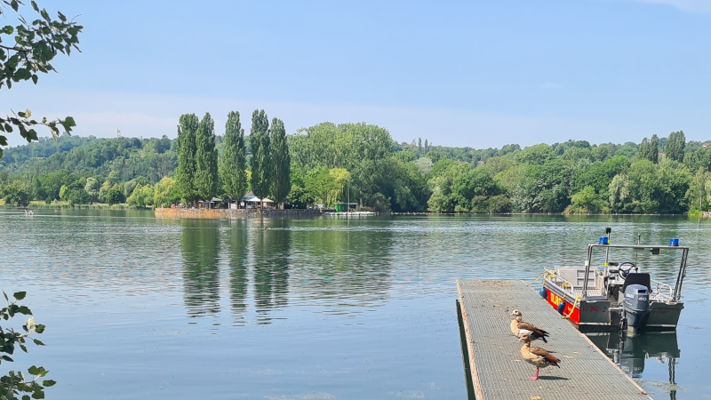 Max-Eyth-See in Stuttgart with ducks on a jetty, a boat and a green landscape in the background., &copy; Stuttgart-Marketing GmbH, Sandra N&ouml;rpel