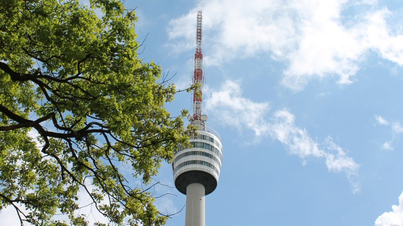 The Stuttgart television tower rises into the blue sky, surrounded by green tree branches., &copy; Stuttgart-Marketing GmbH