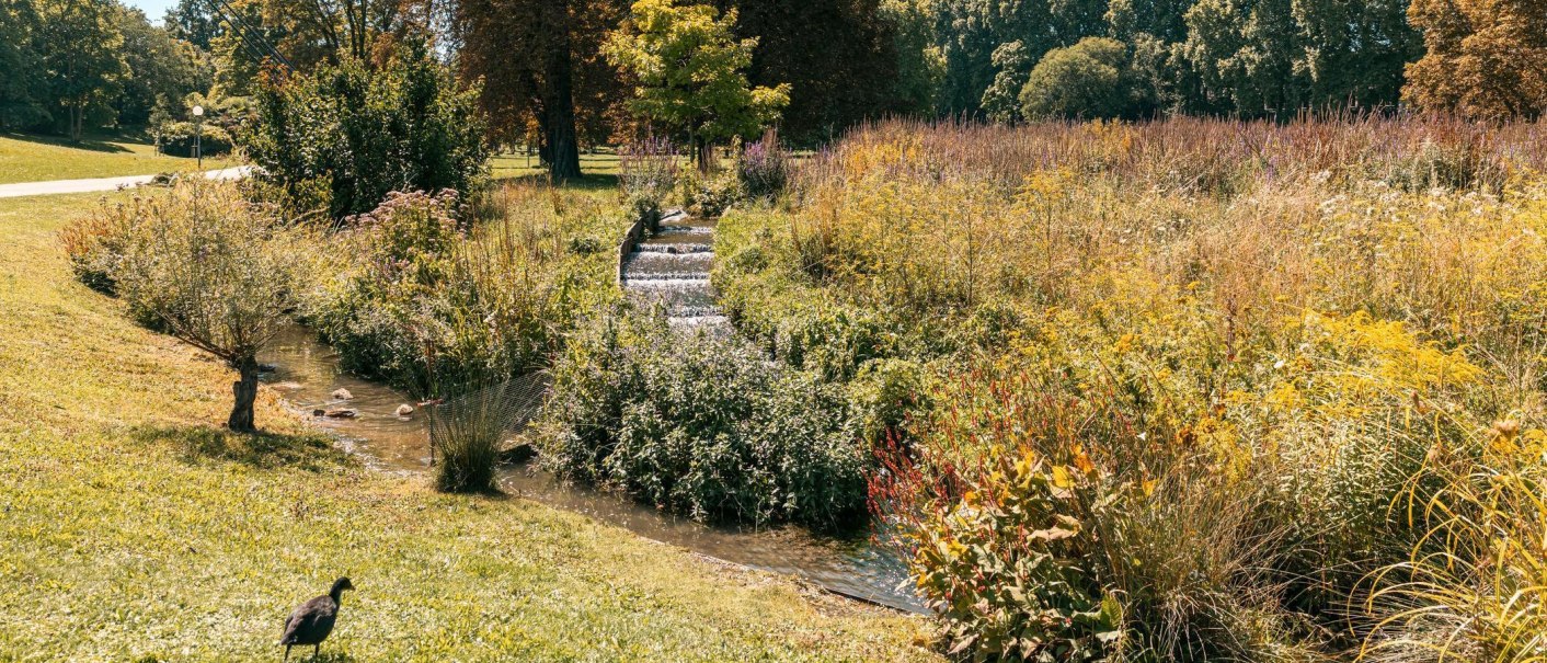 Unterer Schlossgarten Nesenbach, &copy; SMG, Sarah Schmid