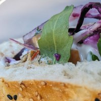 Nahaufnahme eines Kebaps mit Sesambrot, Rotkohl, Rucola und Sauce. Frische Zutaten sind sichtbar., © SMG Nahaufnahme eines Kebaps mit Sesambrot, Rotkohl, Rucola und Sauce. Frische Zutaten sind sichtbar., © SMG