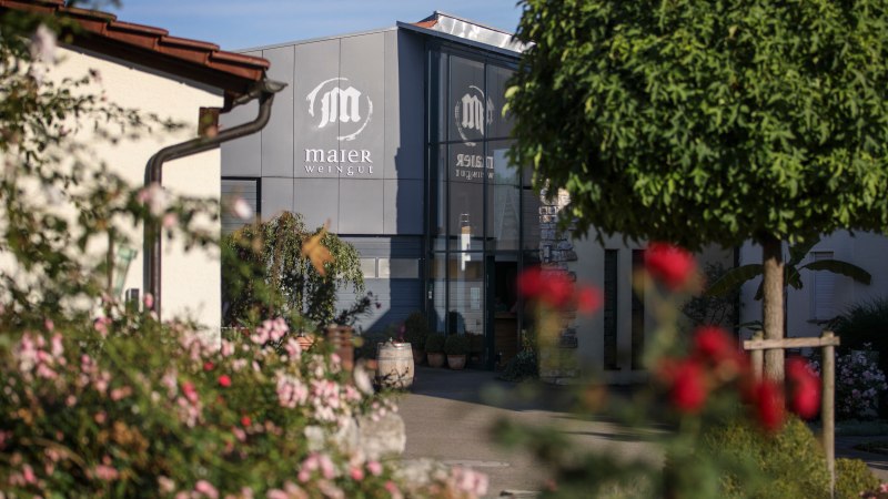Entrance to the Maier winery, surrounded by flowering plants and trees. Modern architecture with a glass façade and stone walls., © Gottfried Stoppel