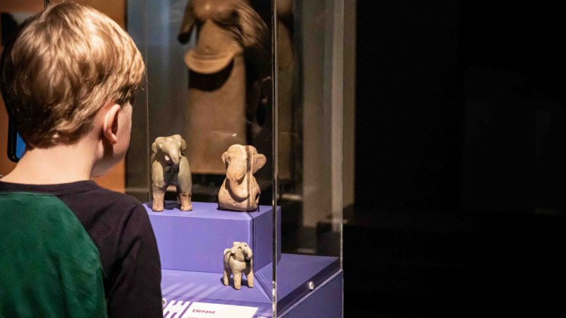 Ein Junge betrachtet aufmerksam Elefantenfiguren in einer Museumsvitrine. Die Ausstellung scheint Teil eines Ferienprogramms zu sein., © Linden-Museum Stuttgart Ein Junge betrachtet aufmerksam Elefantenfiguren in einer Museumsvitrine. Die Ausstellung scheint Teil eines Ferienprogramms zu sein., © Linden-Museum Stuttgart